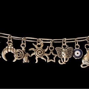Silver Charm Bracelet with Elephant, stars, turtles, cat ect Charms